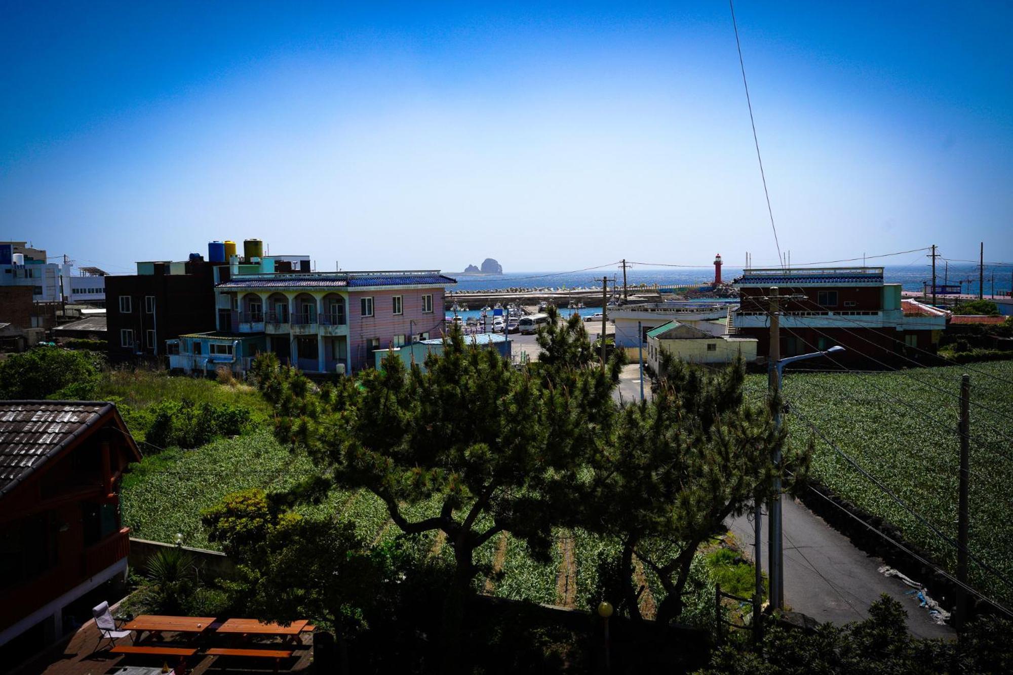 Ttottot Jeju Backpackers Hostel ซอกวีโพ ภายนอก รูปภาพ